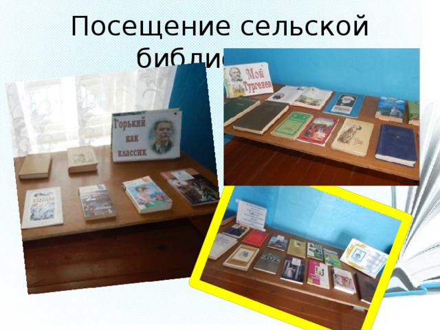 Посещение сельской библиотеки 