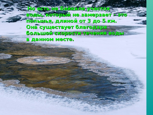  Но есть на Байкале участок воды, который не замерзает – это полынья, длиной от 3 до 5 км. Она существует благодаря большой скорости течения воды в данном месте. 