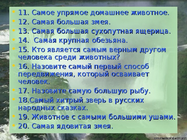 11. Самое упрямое домашнее животное.  12. Самая большая змея. 13. Самая большая сухопутная ящерица.  14. Самая крупная  обезьяна. 15 . Кто является самым верным другом человека среди животных? 16. Назовите самый первый способ передвижения, который осваивает человек. 17. Назовите самую большую рыбу. 18.Самый хитрый зверь в русских народных сказках. 19. Животное с самыми большими ушами. 20. Самая ядовитая змея.