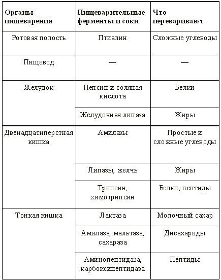 Пища ротовая полость дополните схему