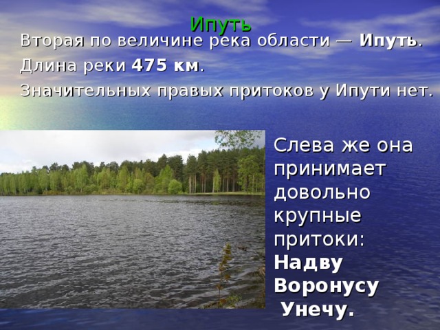 Ипуть Вторая по величине река области — Ипуть . Длина реки 475 км . Значительных правых притоков у Ипути нет. Слева же она принимает довольно крупные притоки: Надву Воронусу  Унечу.  