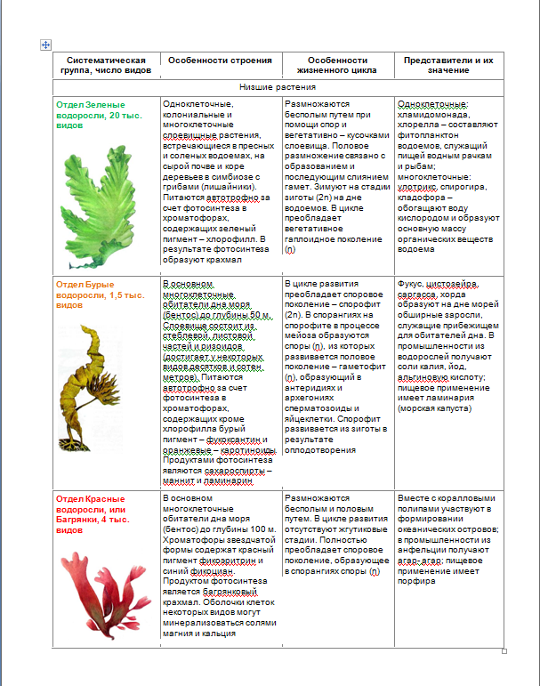 Группы водорослей таблица