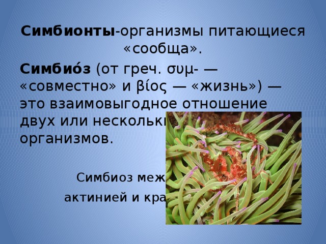 Можно ли жить не питаясь 5 класс биология презентация