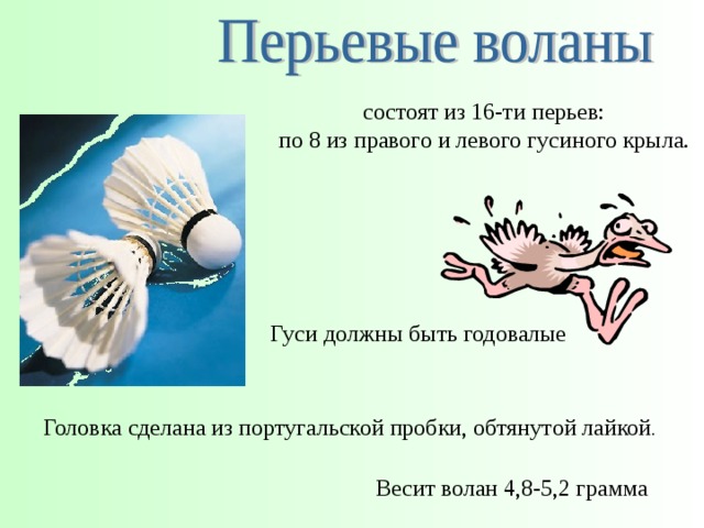 состоят из 16-ти перьев:  по 8 из правого и левого гусиного крыла. Гуси должны быть годовалые Головка сделана из португальской пробки, обтянутой лайкой . Весит волан 4,8-5,2 грамма 