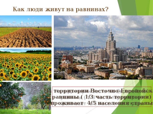 Как люди живут на равнинах? На территории Восточно-Европейской  равнины ( 1/3 часть территории) проживает 4/5 населения страны