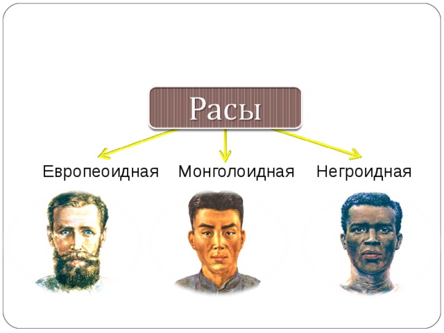 Расы человека кратко. Основные человеческие расы: европеоидная, негроидная и. Монголоидов- европеоидная раса. Европеоидная раса монголоидная раса негроидная раса. Люди европеоидной и монголоидной расы.