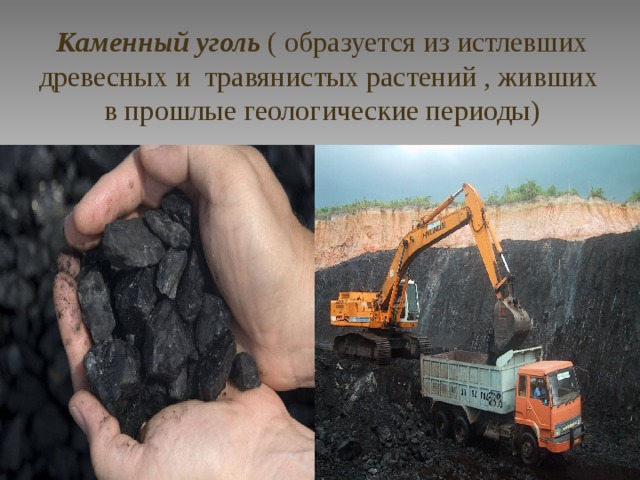 Каменный уголь ( образуется из истлевших древесных и травянистых растений , живших в прошлые геологические периоды)