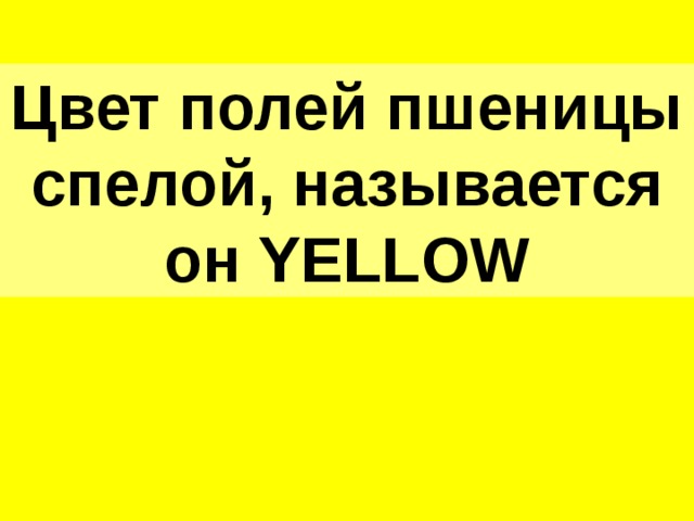 Цвет полей пшеницы спелой, называется он YELLOW 