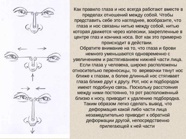 Глаза связаны. Взаимосвязь носа и глаз. Глаза расположены далеко друг от друга.