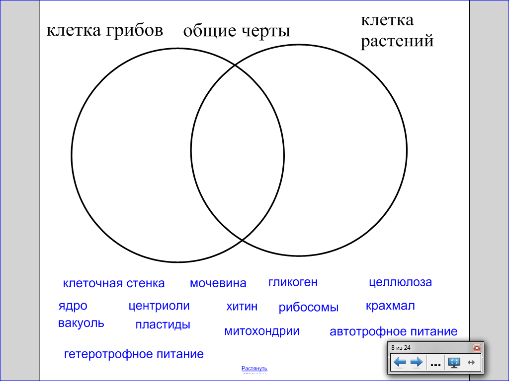 Диаграмма вена это