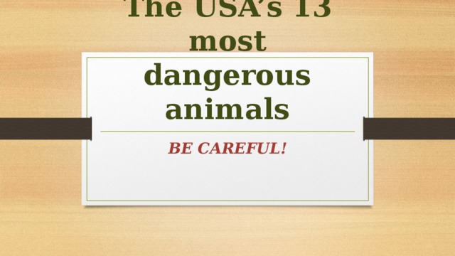 Презентация "The USA’s 13 most dangerous animals"