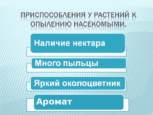 Аромат 