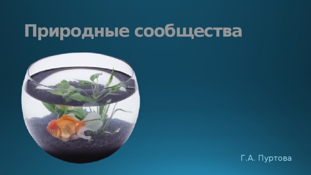 Природные сообщества Г.А. Пуртова 
