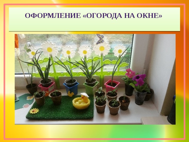 Оформление «Огорода на окне» . 