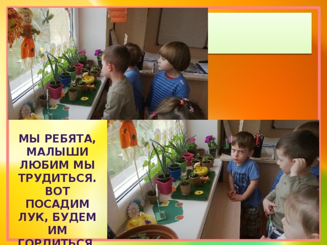 Мы ребята, малыши Любим мы трудиться. Вот посадим лук, Будем им гордиться. 