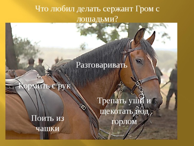 Я подозвал коня. Джоуи конь. Кого зовут лошадью. Лошадь звали книга. Коня звали верный.