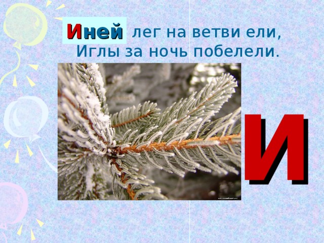 Я шел по аллее усыпанной еловыми иглами. Иней лег на ветви ели иглы за ночь побелели. Иней лег на ветви ели. Буква и - иней лег на ветки ели иглы за ночь побелели. Маршак иней лег на ветви ели.