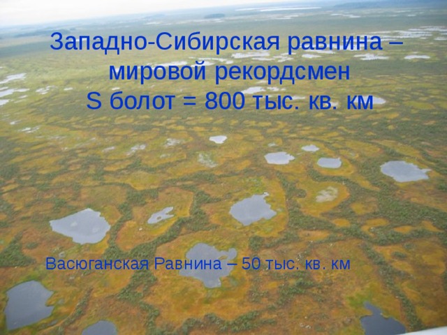 Западно-Сибирская равнина – мировой рекордсмен S болот = 800 тыс. кв. км Васюганская Равнина – 50 тыс. кв. км 
