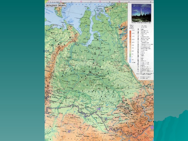 Площадь западно сибирской равнины. Западно-Сибирская равнина карта 8 класс. Физическая карта Западной Сибири. Западно Сибирская равнина на карте атласа. Карта Западно сибирской равнины с городами.