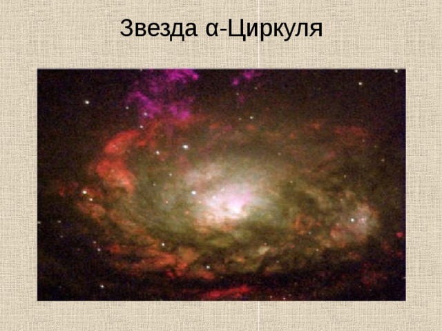 Звезда α-Циркуля   