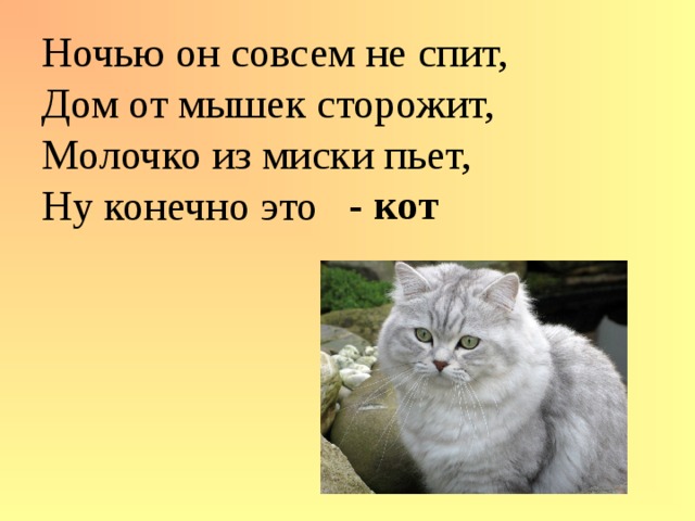 Ночью он совсем не спит,  Дом от мышек сторожит,  Молочко из миски пьет,  Ну конечно это   - кот 