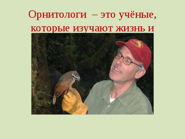 Орнитологи – это учёные, которые изучают жизнь и повадки птиц.  