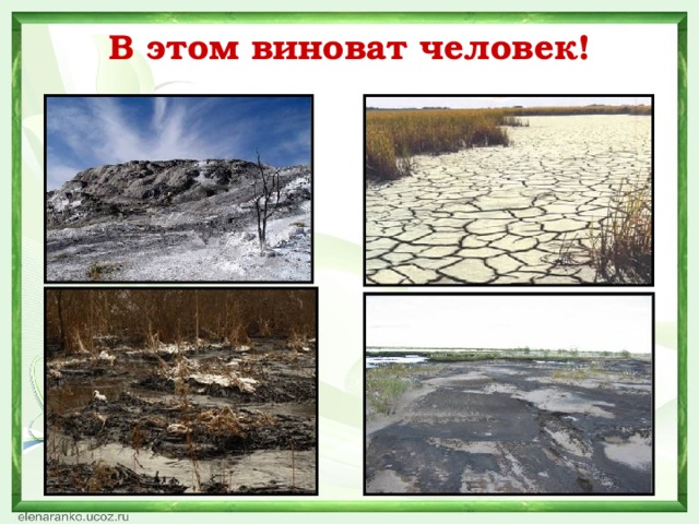 В этом виноват человек!