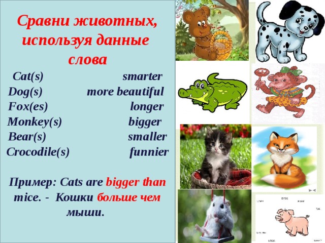 Сравни животных, используя данные слова Cat ( s ) smarter Dog(s) more beautiful Fox(es) longer Monkey(s) bigger Bear(s) smaller Crocodile(s) funnier  Пример :  Cats are bigger than mice. - Кошки больше чем мыши.   