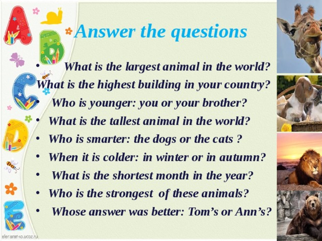 Answer the questions  What is the largest animal in the world? What is the highest building in your country?  Who is younger: you or your brother? What is the tallest animal in the world? Who is smarter: the dogs or the cats ? When it is colder: in winter or in autumn?  What is the shortest month in the year? Who is the strongest of these animals?  Whose answer was better: Tom’s or Ann’s? 