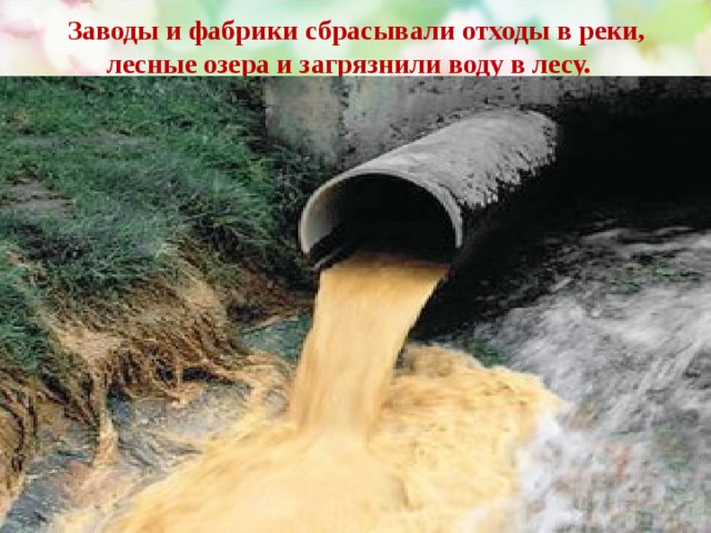 Заводы и фабрики сбрасывали отходы в реки, лесные озера и загрязнили воду в лесу.   