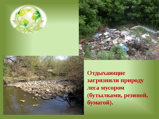 Отдыхающие загрязнили природу леса мусором (бутылками, резиной, бумагой). 