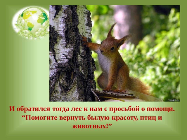 И обратился тогда лес к нам с просьбой о помощи.  “Помогите вернуть былую красоту, птиц и животных!” 