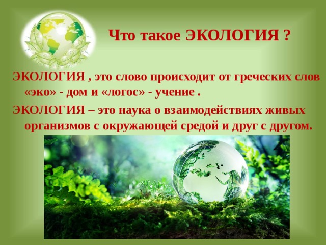  Что такое ЭКОЛОГИЯ ? ЭКОЛОГИЯ , это слово происходит от греческих слов «эко» - дом и «логос» - учение . ЭКОЛОГИЯ – это наука о взаимодействиях живых организмов с окружающей средой и друг с другом.   