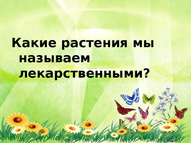 Какие растения мы называем лекарственными? 