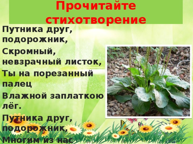 Прочитайте стихотворение Путника друг, подорожник, Скромный, невзрачный листок, Ты на порезанный палец Влажной заплаткою лёг. Путника друг, подорожник, Многим из нас невдомёк, Что отыскалось лекарство Тут же, на тропке, у ног. В.Рождественский 