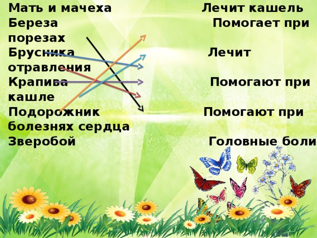 Лесная аптечка Мать и мачеха Лечит кашель Береза Помогает при порезах Брусника Лечит отравления Крапива Помогают при кашле Подорожник Помогают при болезнях сердца Зверобой Головные боли 