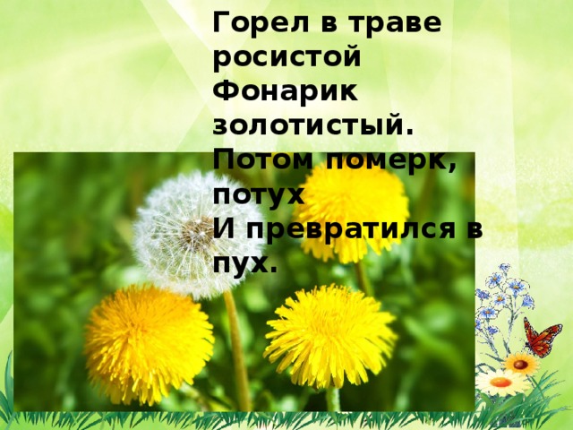 Горел в траве росистой  Фонарик золотистый.  Потом померк, потух  И превратился в пух. 