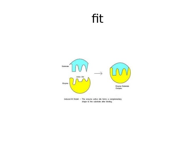 fit 