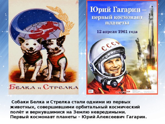 Зарядка полетели в космос. Гагарин и белка и стрелка. День космонавтики. Белка и стрелка день космонавтики.