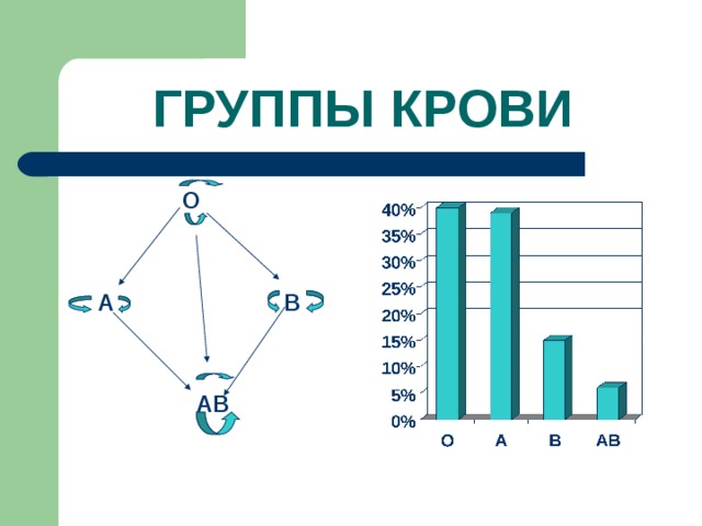 Группа крови проект по биологии Презентация "Группы крови"
