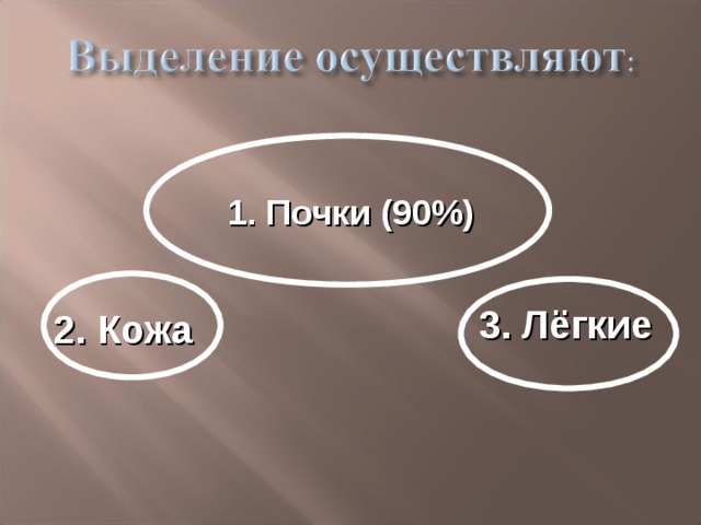 1. Почки (90%) 3. Лёгкие 2. Кожа 