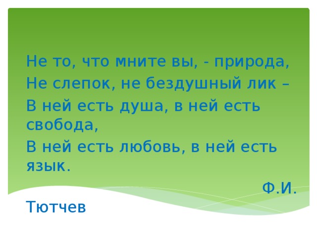 Не то что мнили вы природа