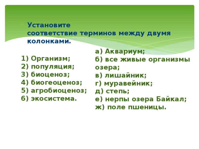 Установите соответствие организмы группы