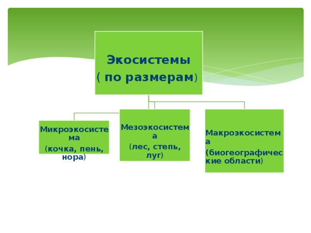 Экологические сообщества 11 класс презентация