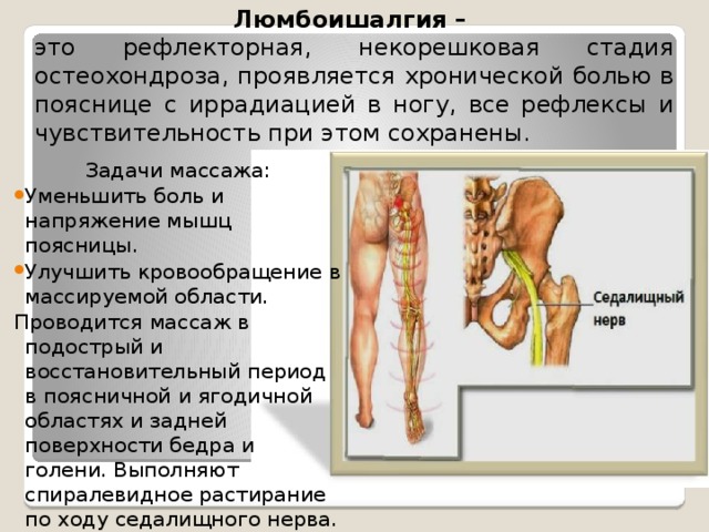 Люмбоишалгия – это рефлекторная, некорешковая стадия остеохондроза, проявляется хронической болью в пояснице с иррадиацией в ногу, все рефлексы и чувствительность при этом сохранены. Задачи массажа: Уменьшить боль и напряжение мышц поясницы. Улучшить кровообращение в массируемой области. Проводится массаж в подострый и восстановительный период в поясничной и ягодичной областях и задней поверхности бедра и голени. Выполняют спиралевидное растирание по ходу седалищного нерва. 