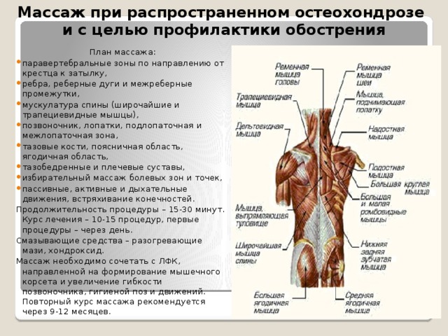 Массаж при распространенном остеохондрозе и с целью профилактики обострения   План массажа: паравертебральные зоны по направлению от крестца к затылку, ребра, реберные дуги и межреберные промежутки, мускулатура спины (широчайшие и трапециевидные мышцы), позвоночник, лопатки, подлопаточная и межлопаточная зона, тазовые кости, поясничная область, ягодичная область, тазобедренные и плечевые суставы, избирательный массаж болевых зон и точек, пассивные, активные и дыхательные движения, встряхивание конечностей. Продолжительность процедуры – 15-30 минут. Курс лечения – 10-15 процедур, первые процедуры – через день. Смазывающие средства – разогревающие мази, хондроксид. Массаж необходимо сочетать с ЛФК, направленной на формирование мышечного корсета и увеличение гибкости позвоночника, гигиеной поз и движений. Повторный курс массажа рекомендуется через 9-12 месяцев. 