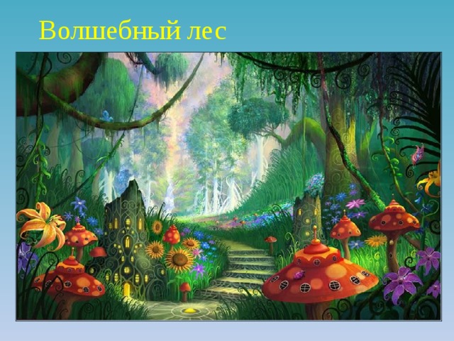 Волшебный лес 