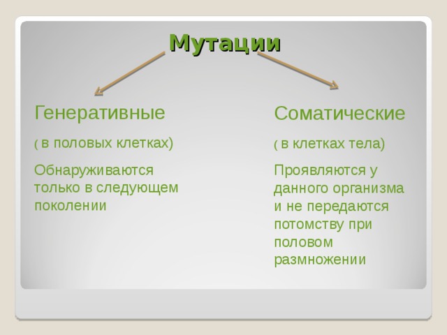 Генеративные мутации презентация