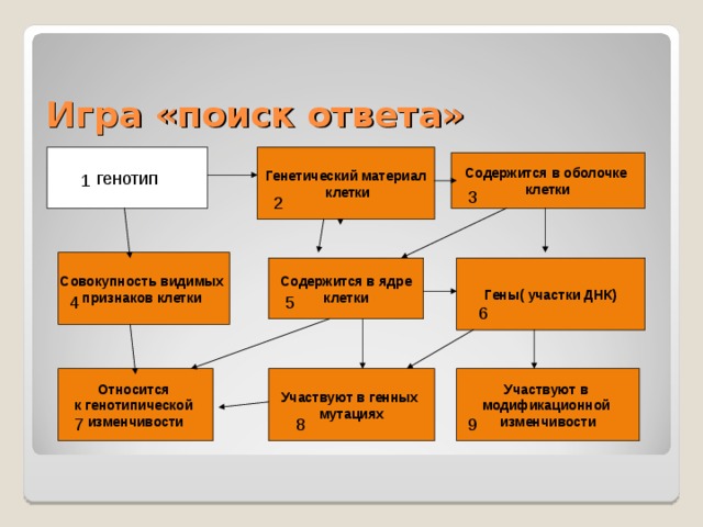 Проанализируйте диаграмму содержание вещества x в клетках кишечной палочки нормального генотипа