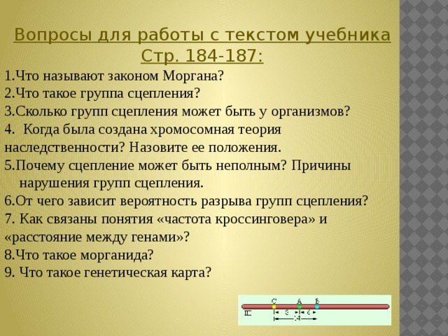 Вопросы для работы с текстом учебника Стр. 184-187: 1.Что называют законом Моргана? 2.Что такое группа сцепления? 3.Сколько групп сцепления может быть у организмов? 4. Когда была создана хромосомная теория наследственности? Назовите ее положения. 5.Почему сцепление может быть неполным? Причины  нарушения групп сцепления. 6.От чего зависит вероятность разрыва групп сцепления? 7. Как связаны понятия «частота кроссинговера» и «расстояние между генами»? 8.Что такое морганида? 9. Что такое генетическая карта? 